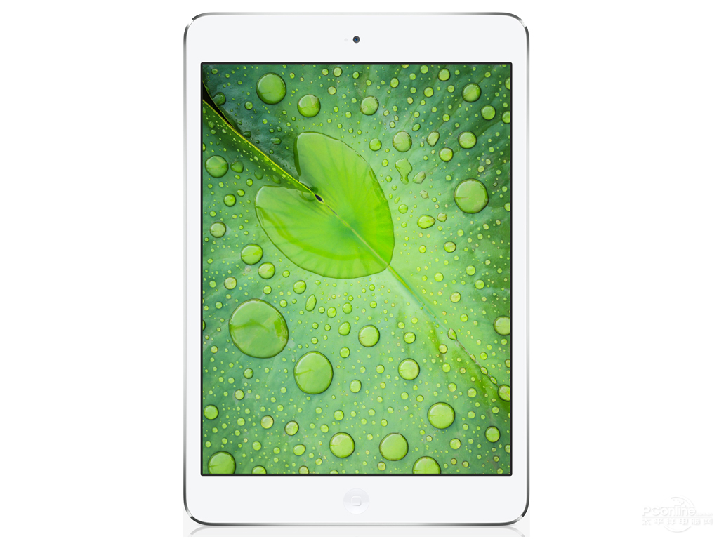 苹果 iPad Mini Retina(16G/Wifi版)