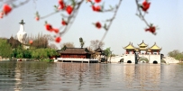 ȥ桡ȥ