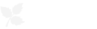 ĩ_Ѷʾվ