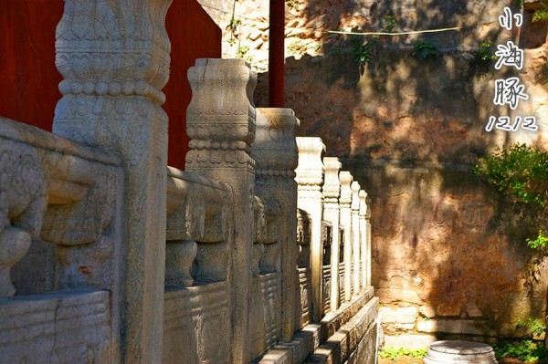 【小海豚】先有潭柘寺，后有北京城-记我的清明小游~