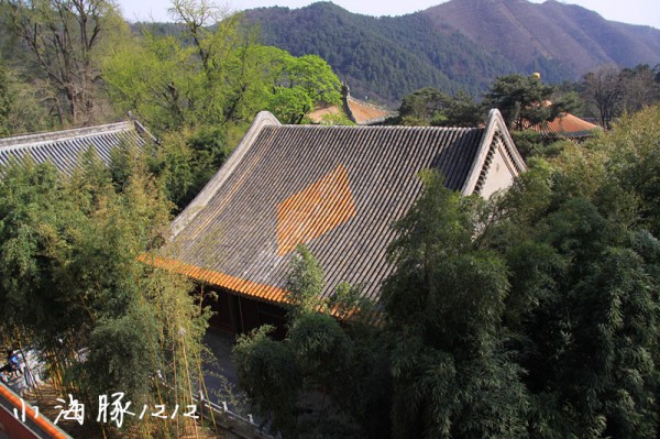 【小海豚】先有潭柘寺，后有北京城-记我的清明小游~