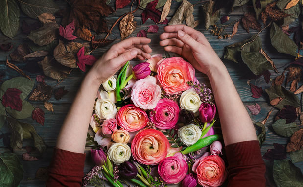 ⾲Ӱ---˹ӰʦDina Belenko