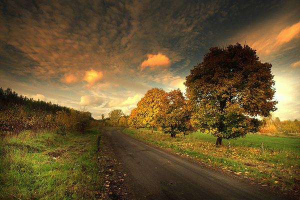 ȻľӰDzordzoӰ