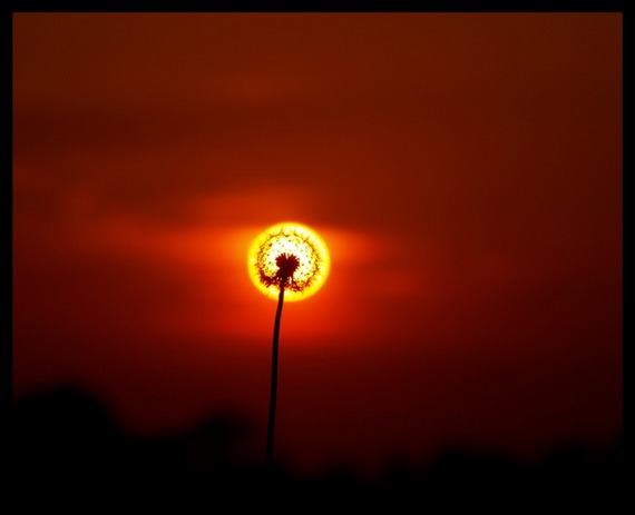 Ӱͣɫ