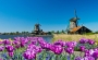 出境游推荐　阿姆斯特丹旅游行程