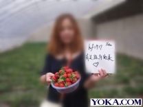 【有关旅行的美】草莓园采摘